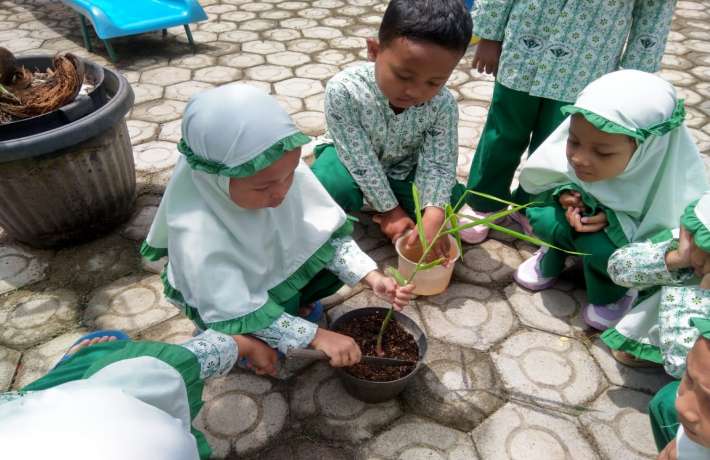 Mari menanam jahe